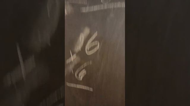 влог смотреть онлайн