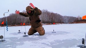 Ого...ЖЕРЛИЦЫ ВЗЛЕТАЮТ!!! ПЕРВЫЙ ЛЁД 2026 В ЭТОМ БОЛОТЕ КИШИТ РЫБА. Удачная рыбалка.