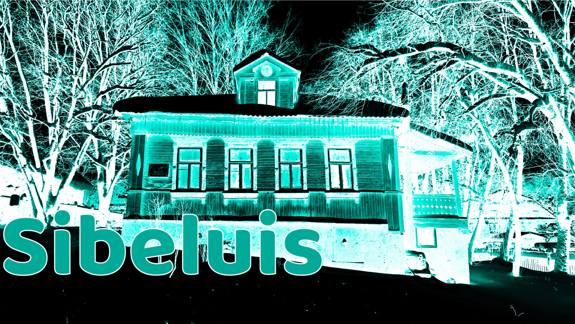 Jean Sibelius, Andante molto in F minor, Maria Sokolova - cello смотреть онлайн