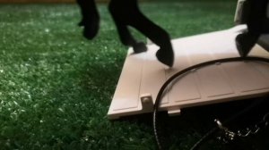 Шляйх сериал "пойманная" 1 серия:ловля