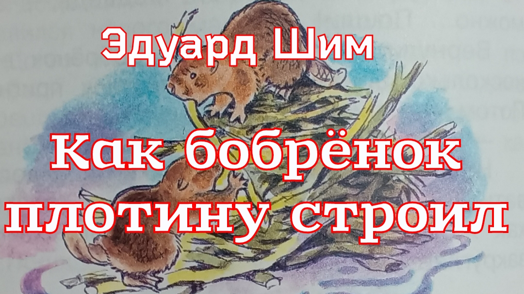 Сказка«Как бобрёнок плотину строил» Эдуард Шим смотреть онлайн
