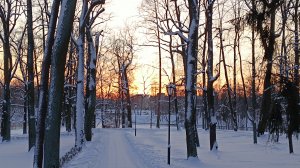 Вяжем играя с Еленой Велиной. 20 тур. Старт.