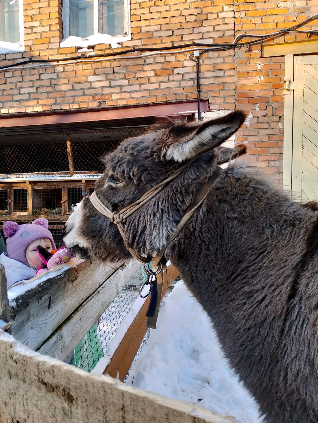 убираюсь смотреть онлайн