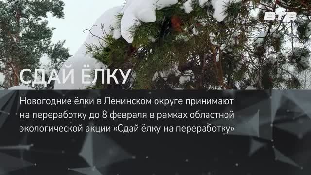 СДАЙ ЁЛКУ смотреть онлайн