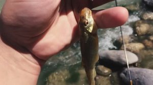 Осетия 24 мая