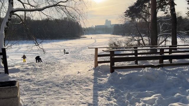 Куда сходить в Москве? Серебряный Бор заповедник в центре Москвы смотреть онлайн