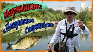 Мормышинг в Покровское Стрешнево. Рыбалка на городских прудах