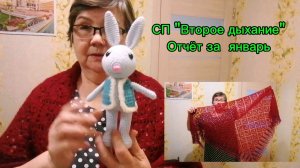 СП "Второе дыхание". Отчёт января. Связала шаль спицами и кролика крючком.