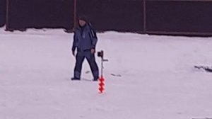 Зарыбление