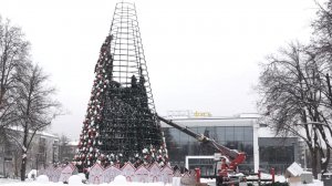 Главную зеленую красавицу Мытищ начали разбирать