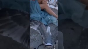 Яңғыҙҙарҙы кемдәр яратыр?