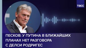 Песков: у Путина в ближайших планах нет разговора с Делси Родригес