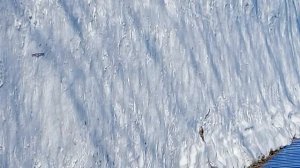 ходила в магозины с куплятса пасматри 👍👍👍👍👍👍👍👍