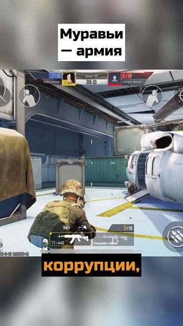 Муравьи - армия смотреть онлайн