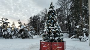 Прогулка с детьми на каток⛸️