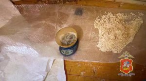 В Дмитрове полицейские ликвидировали подпольную нарколабораторию