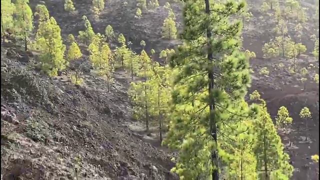 Лава и Тенерифе смотреть онлайн