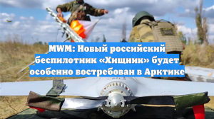MWM: Новый российский беспилотник «Хищник» будет особенно востребован в Арктике