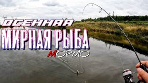 Осенний мормышинг. Ловля белой рыбы спиннингом. Наноджиг Ультралайт