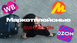 Чемоданы из полипропилена для самолета. Рейтинг лучших фирм чемоданов: Рамзес Дубай Самсонайт Турист