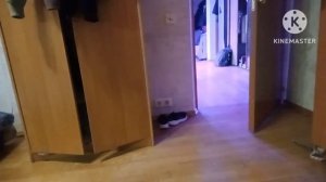 Конец вещания ТНТ MUSIC начало вещания #музыка первого.