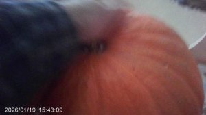 Проблема длительного хранения тыквы в том, что она начинает гнить !