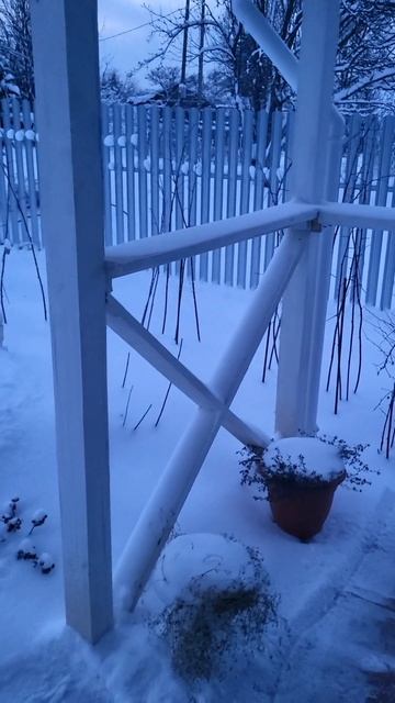 Первый раз в 2026! смотреть онлайн