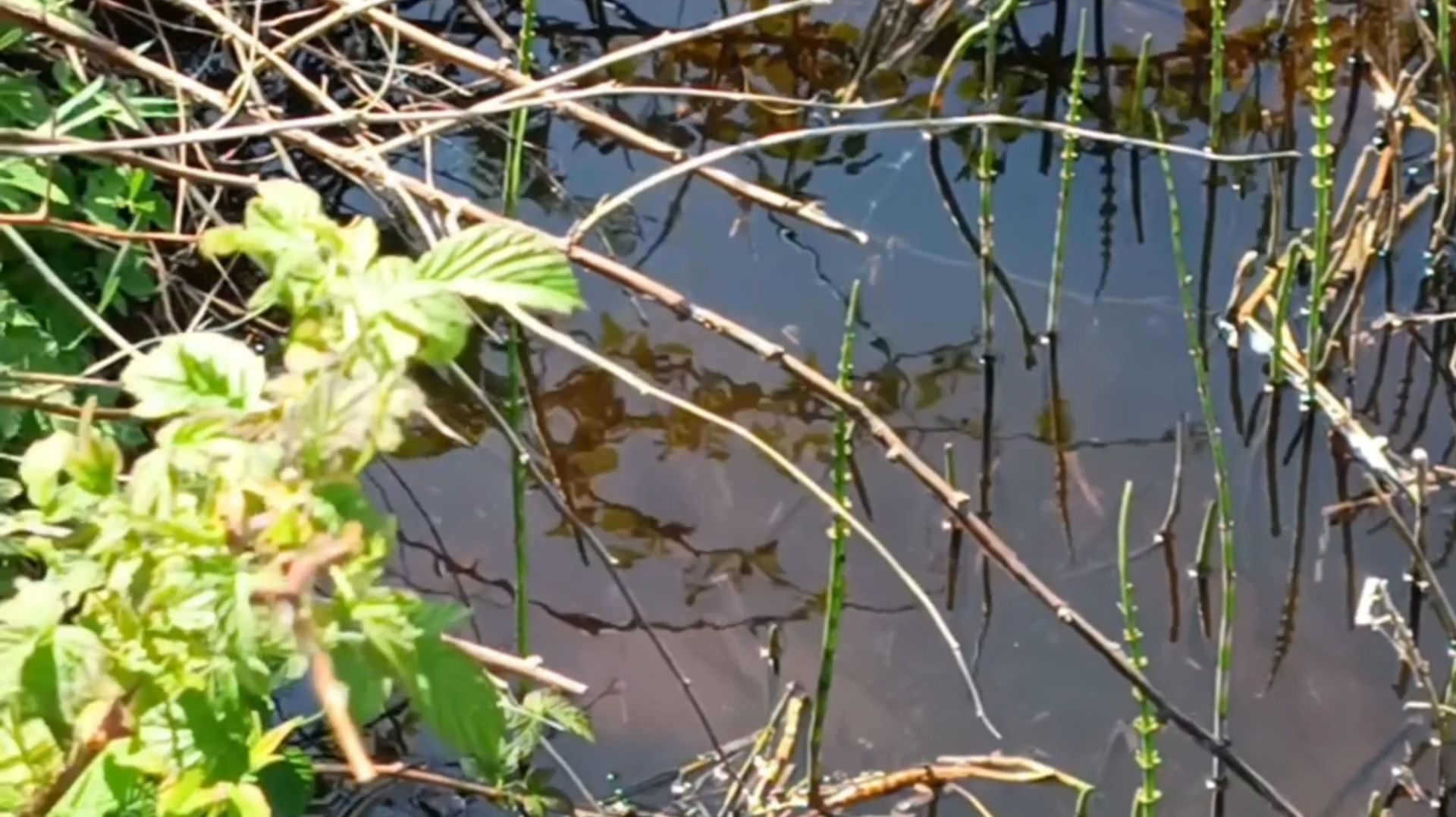 ДЕРЕВЕНСКИЕ НАПЕВЫ смотреть онлайн