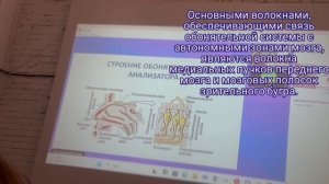 Ароматерапия. Психология