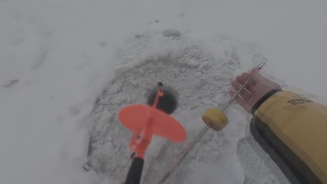 Я В ШОКЕ! Когда он схватил приманку. смотреть онлайн