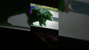 скинь видос №2