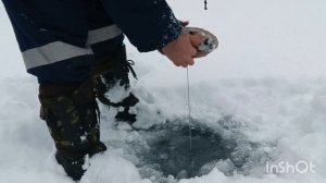 Опять на рыбалке (щука)