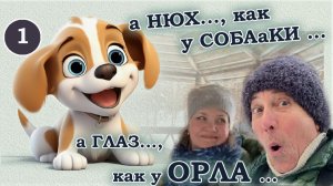 Сысерть. Калина на берегу Сысертского пруда. Беседка у плотины Паново.