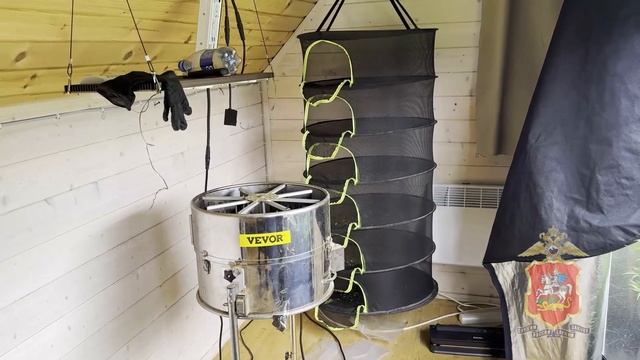 В Раменском м.о. полицейские задержали двоих подозреваемых в покушении на сбыт марихуаны смотреть онлайн