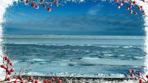 Ейск. Квартирный ремонт. Азовское побережье. Морозы крепчают. Барон и коты.