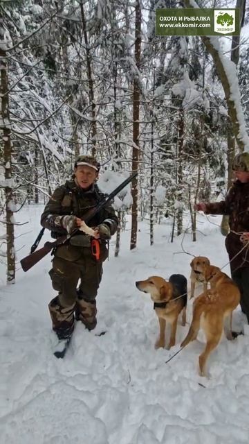 Охотнику достался только пазанок 😄👍 только гончатник поймёт, как это здорово! +18 смотреть онлайн