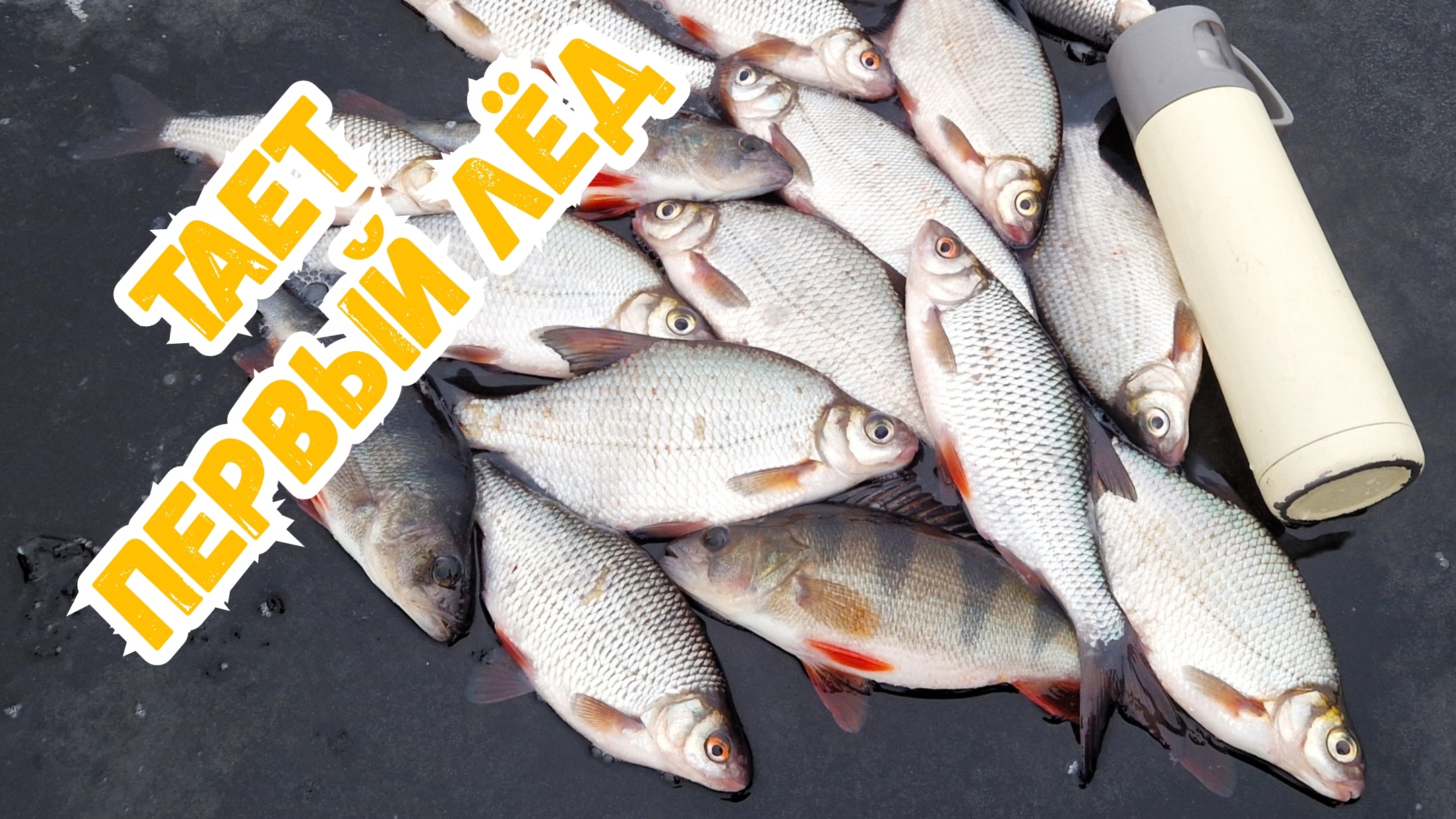 Безмотылка - тает первый лед смотреть онлайн