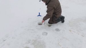 VID_20260119_092229_791