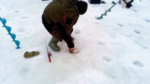 запуск 19.01.26