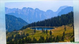 DBlack - Cold Near Future