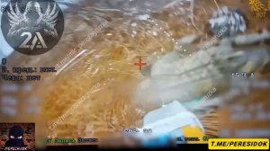 Отправили в космос ВСУшника и другие приключения Микол на СВО