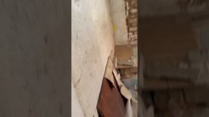 Алленбургская кирха (п.Дружба) Домик пастора Логово спрунки