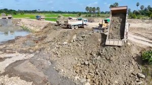 Best Large Scale Land Filling Up Deeply Huge Pond Process Bulldozer and Dump Truck Transport Soil
