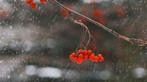 Клип "Ненастная погода" исполнение Сергей Воротилов