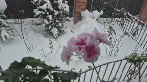 ВЗЯЛАСЬ ЗА НЕДОВЯЗЫ..ЧТО ПОЛУЧАЕТСЯ ОЧЕНЬ НРАВИТСЯ 👍