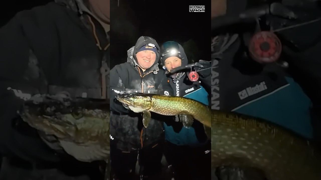 Ночные щуки с Паноптиксом Таежное озеро. Часть 3. Смотрите в новом выпуске #снастиздрасьте смотреть онлайн