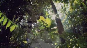 Топ 10: загадки и тайны 1 сезон 10 серия (документальный сериал, 2016)