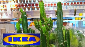 ИКЕАНЕ МОГУ ПОВЕРИТЬ СВОИМ ГЛАЗАМТАКОГО ЕЩЕ НЕ БЫЛО ОБЗОР ПОЛОЧЕК IKEA