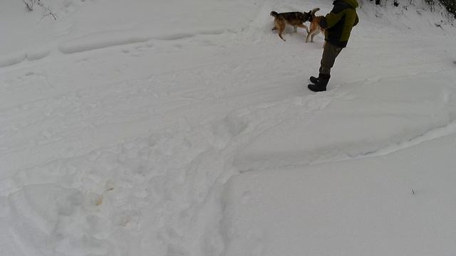 прогулка по зимнему лесу под приятную музыку смотреть онлайн