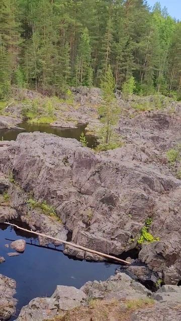 Карелия 2025. Гирвас. Поор-порог. Суна. Июль 2025г (Часть 4) смотреть онлайн